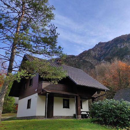 Apartmaji Zupancic Bohinj Exterior foto