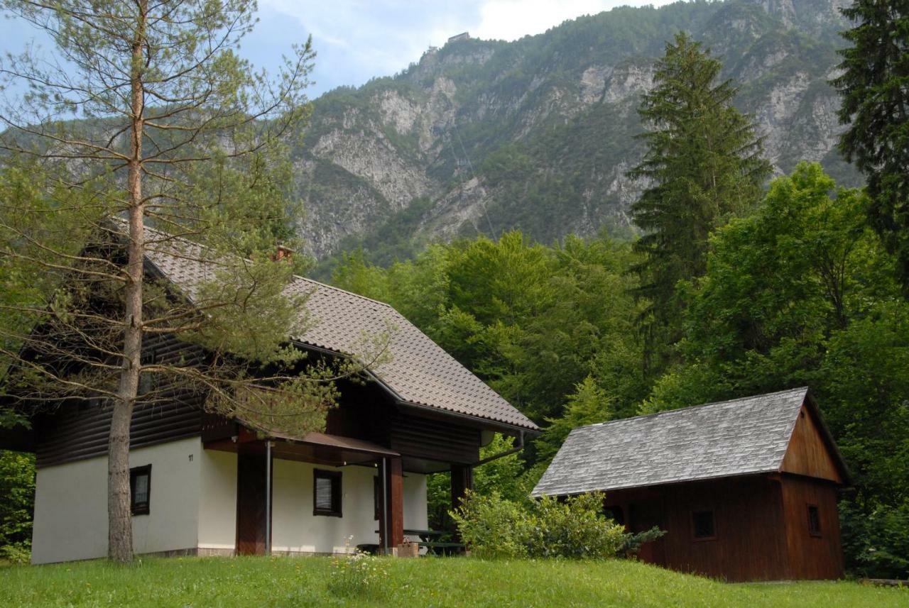 Apartmaji Zupancic Bohinj Exterior foto